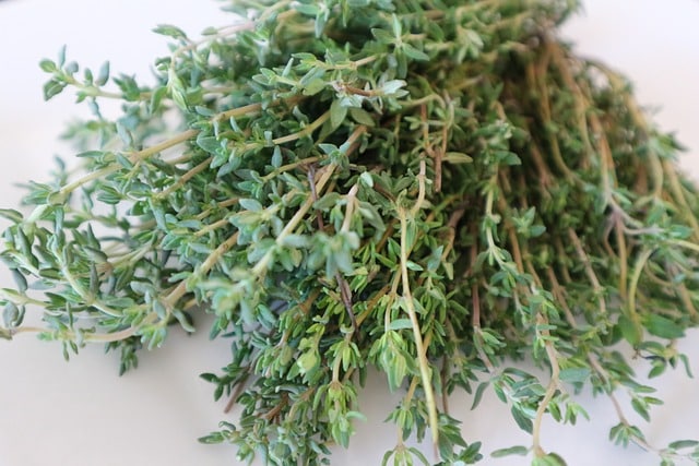 thyme-2854035_640.jpg Timjami